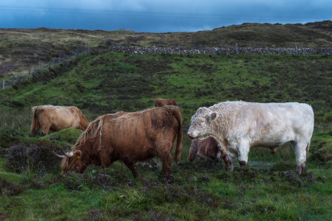 blog o cestování do Skotska - ostrov Skye a Skyeskyns