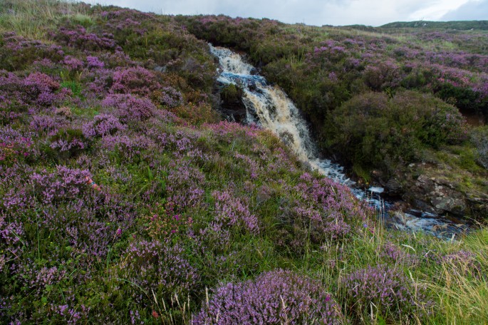 blog o cestování do Skotska - ostrov Skye a Skyeskyns