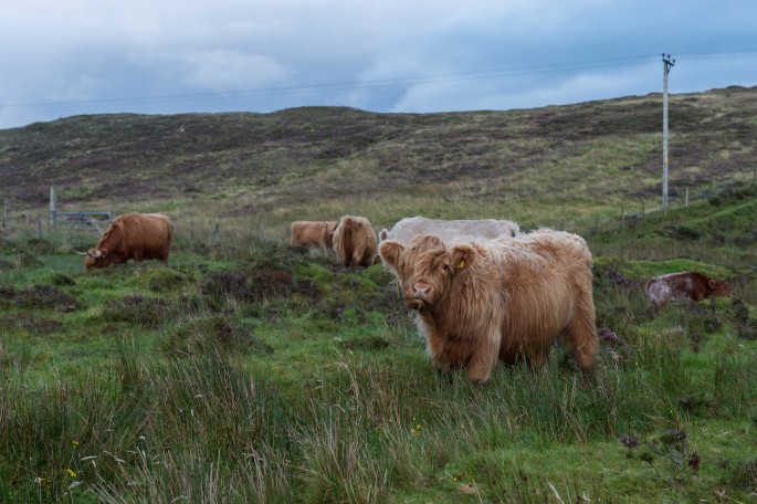blog o cestování do Skotska - ostrov Skye a Skyeskyns
