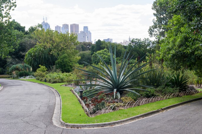 Melbourne Royal Botanic Gardens Victoria botanická