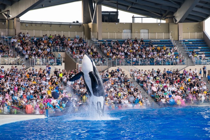 čínský deník blog fotografky foto ivet k iveta krausova ocean park shanghai