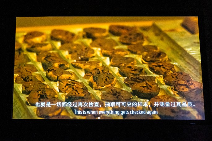 čínský deník blog fotografky foto ivet k iveta krausova shanghai zotter chocolate theatre