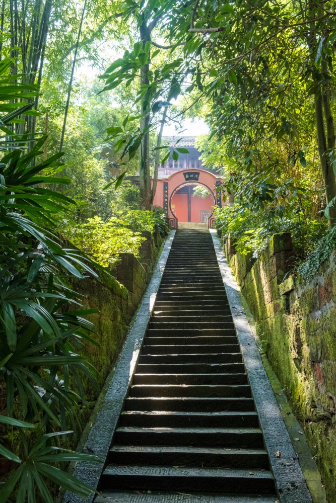 čínský deník blog fotografky foto ivet k iveta krausova panda base chengdu giant buddha leshan china