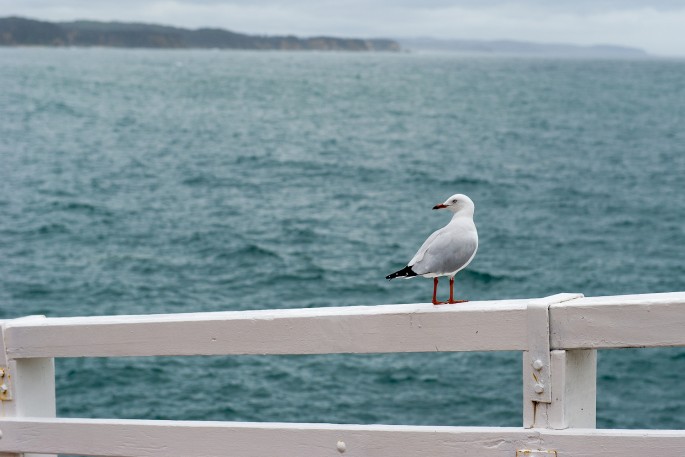 tathra australie