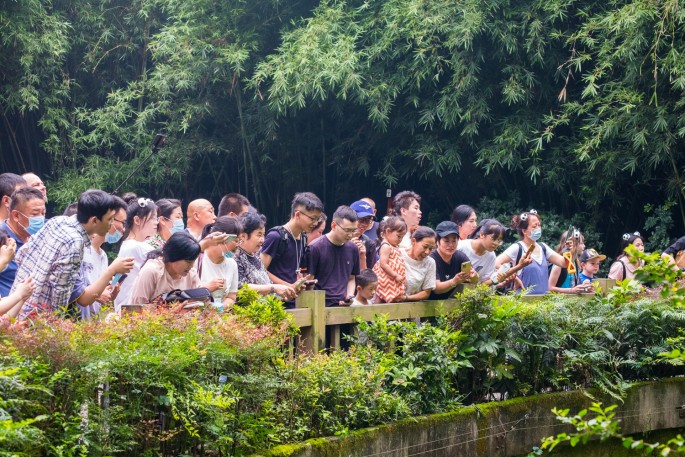 čínský deník blog fotografky foto ivet k iveta krausova panda base chengdu giant buddha leshan china