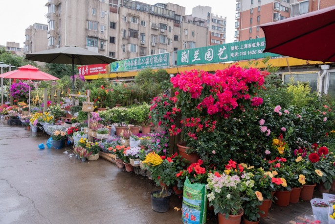 čínský deník blog fotografky foto ivet k iveta krausova flower market