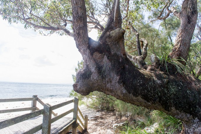 jervis bay Australie