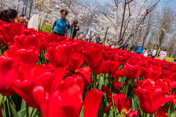 čínský deník blog fotografky foto ivet k iveta krausova Gucun park Šanghaj