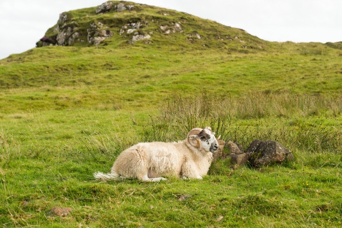 blog o cestování do Skotska - ostrov Skye