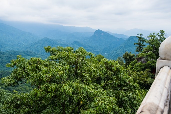 čínský deník blog fotografky foto ivet k iveta krausova mount qingcheng chengdu sichuan