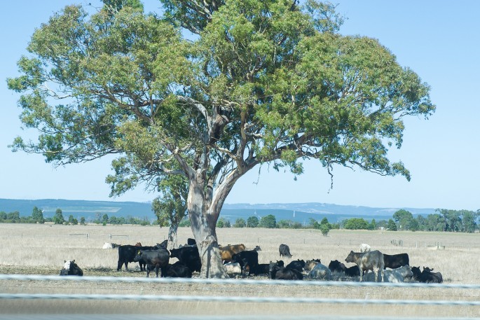 krajina australie