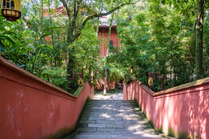 čínský deník blog fotografky foto ivet k iveta krausova panda base chengdu giant buddha leshan china