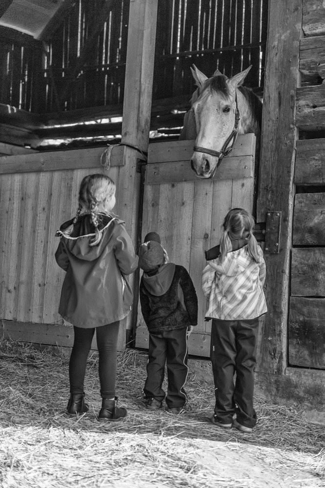 děti koně a venkov