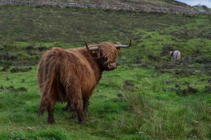 blog o cestování do Skotska - ostrov Skye a Skyeskyns