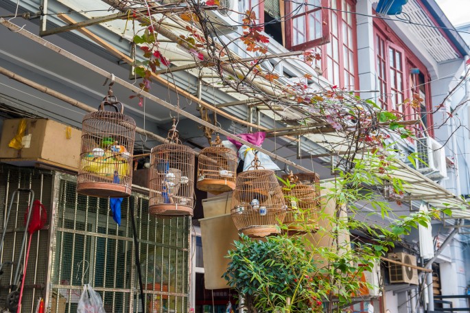 čínský deník blog fotografky foto ivet k iveta krausova uličky kolem yuyuan garden