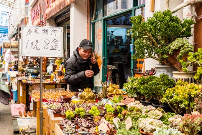 čínský deník blog fotografky foto ivet k iveta krausova hmyzí zvířecí trh Lanling