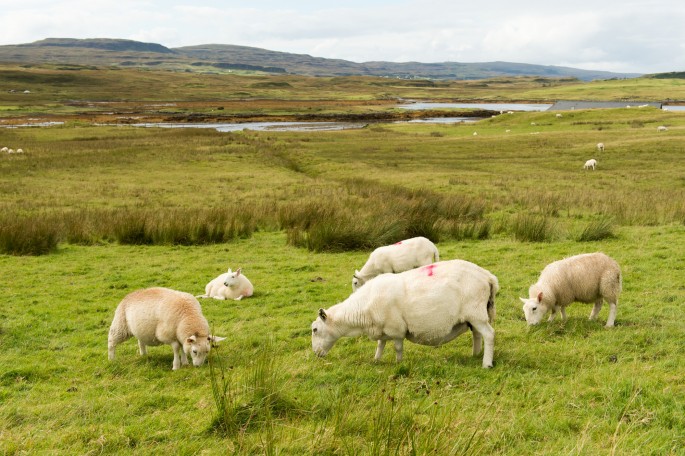 blog o cestování do Skotska - ostrov Skye