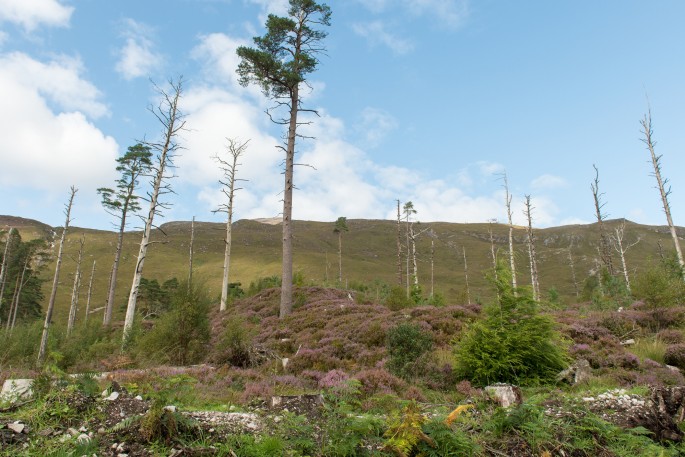 blog o cestování do Skotska - Ullapool 