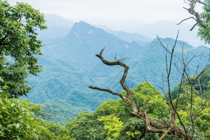 čínský deník blog fotografky foto ivet k iveta krausova mount qingcheng chengdu sichuan