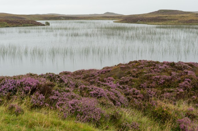 blog o cestování do Skotska - z Ullapool na Orkney