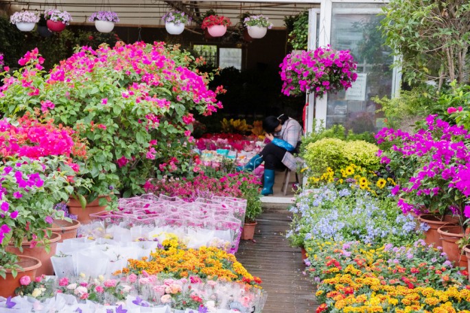 čínský deník blog fotografky foto ivet k iveta krausova flower market