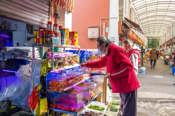 čínský deník blog fotografky foto ivet k iveta krausova hmyzí zvířecí trh Lanling