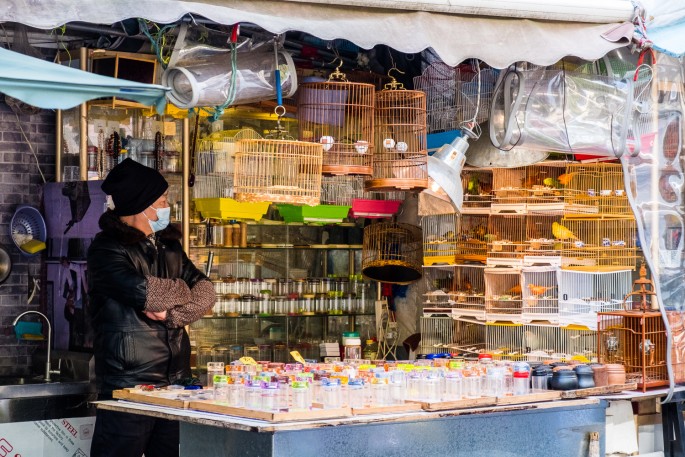 čínský deník blog fotografky foto ivet k iveta krausova hmyzí zvířecí trh Lanling