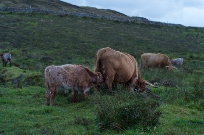 blog o cestování do Skotska - ostrov Skye a Skyeskyns