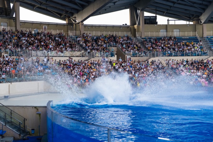 čínský deník blog fotografky foto ivet k iveta krausova ocean park shanghai