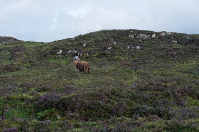 blog o cestování do Skotska - ostrov Skye a Skyeskyns