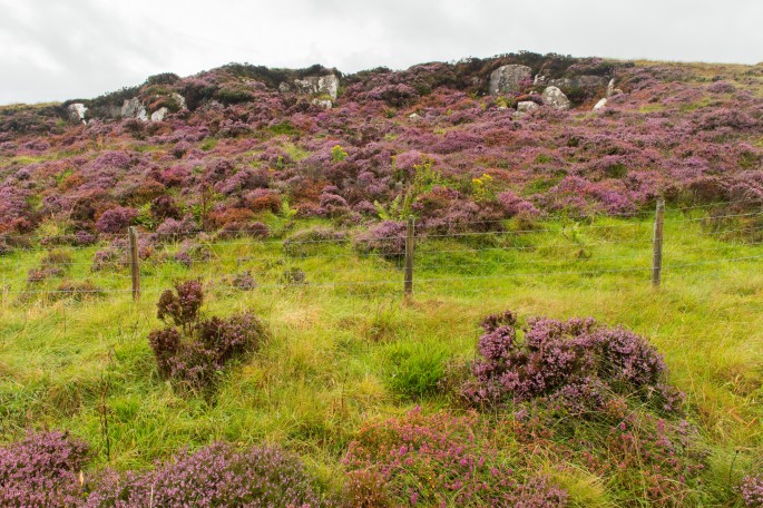 blog o cestování do Skotska - ostrov Skye a Skyeskyns