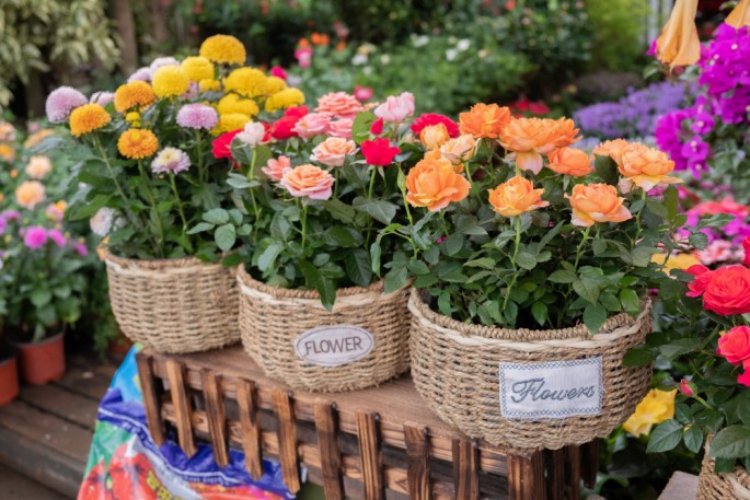 čínský deník blog fotografky foto ivet k iveta krausova flower market