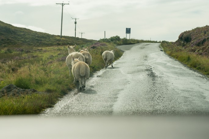 blog o cestování do Skotska - ostrov Skye