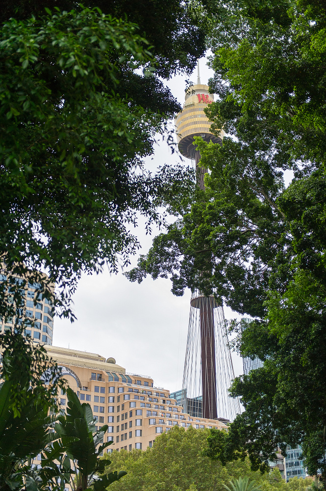 City tower Sydney